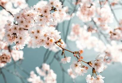 Photo Photo